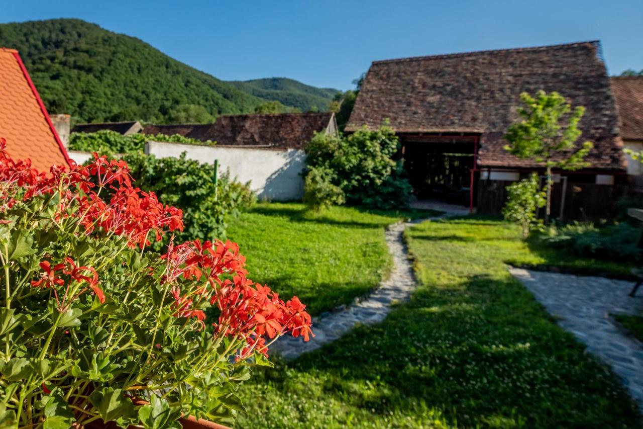 Casa Paulini Appartement Cisnadioara Buitenkant foto